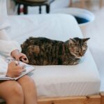 A cozy indoor scene of a tabby cat resting on a bed as a person sketches nearby.