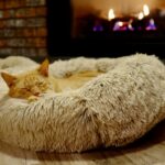 brown and gray tabby cat in pet bed