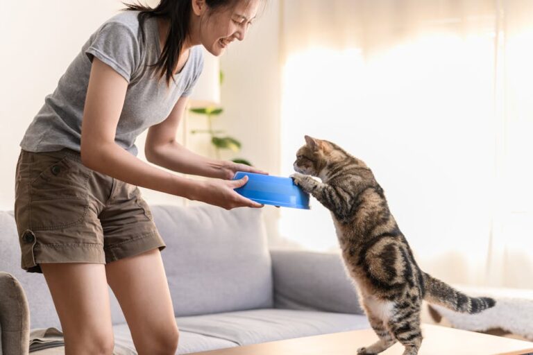 Young Asian woman cat owner giving food to her cute domestic cat at home