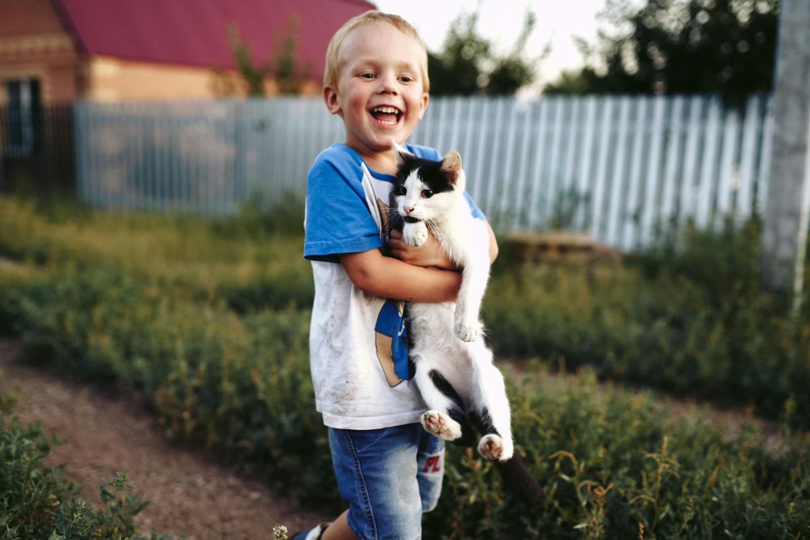 Smiling child with short hair carrying a playful cat in a sunny outdoor setting.