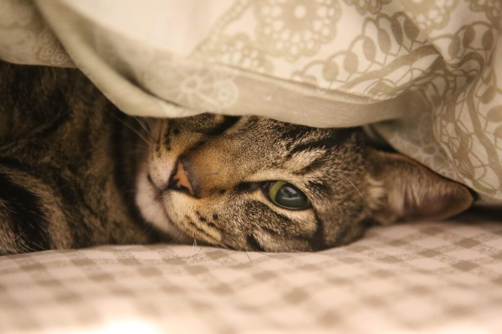 13. Watching Over You (Even While You Sleep)