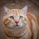 Recognizing Signs of Severe Anxiety