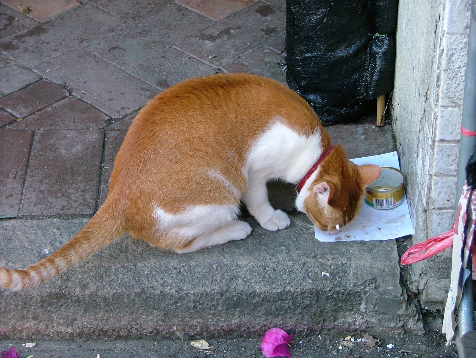 The Food Bowl Negotiator (image credits: wikimedia)
