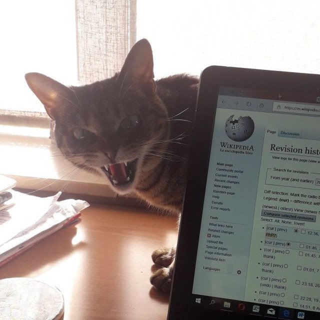 Swatting or Biting (image credits: wikimedia)