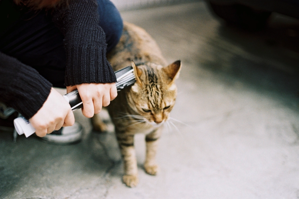 Clinginess and Separation Anxiety (image credits: rawpixel)