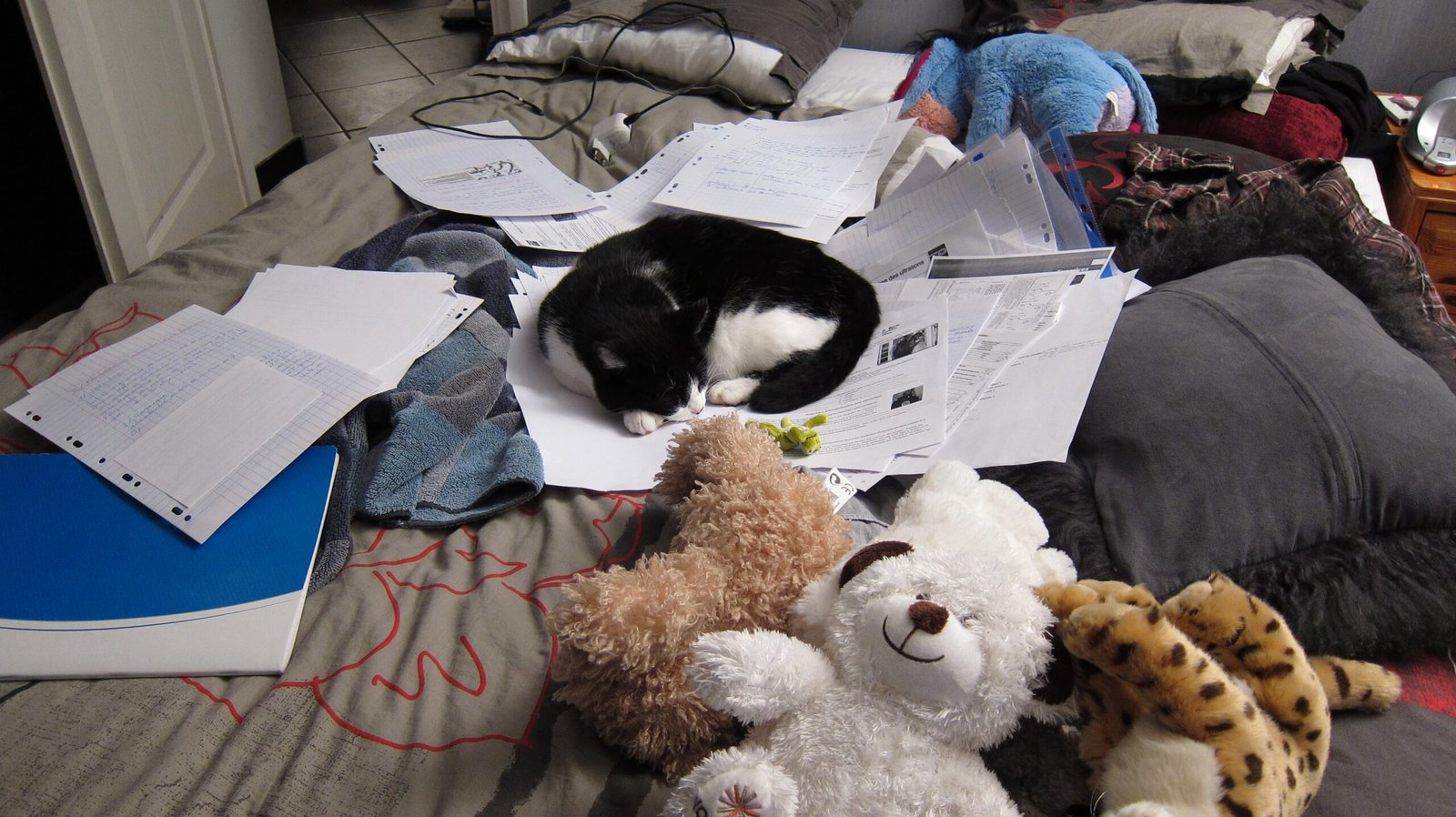 Social Signals in Clutter (image credits: wikimedia)