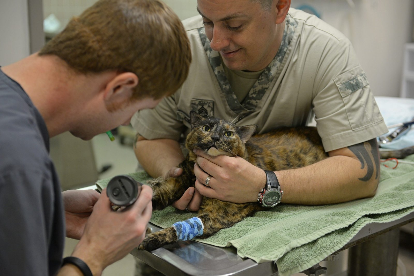 Exploring Medication as a Last Resort (image credits: wikimedia)