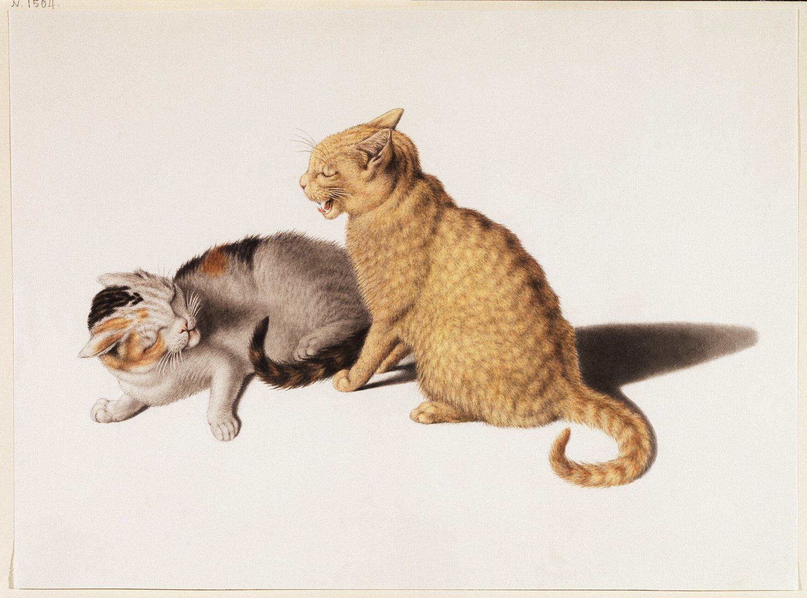The Bond Between Cat and Owner Weakens (image credits: wikimedia)