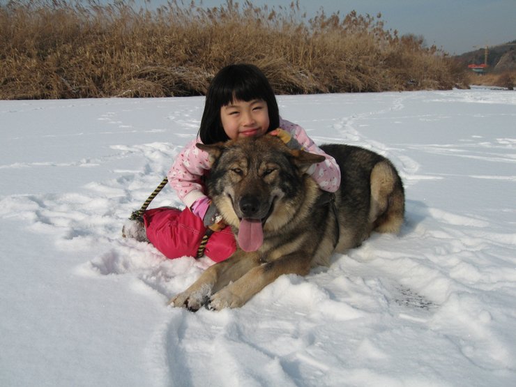 Dogs and Their Empathy Antennae (image credits: wikimedia)
