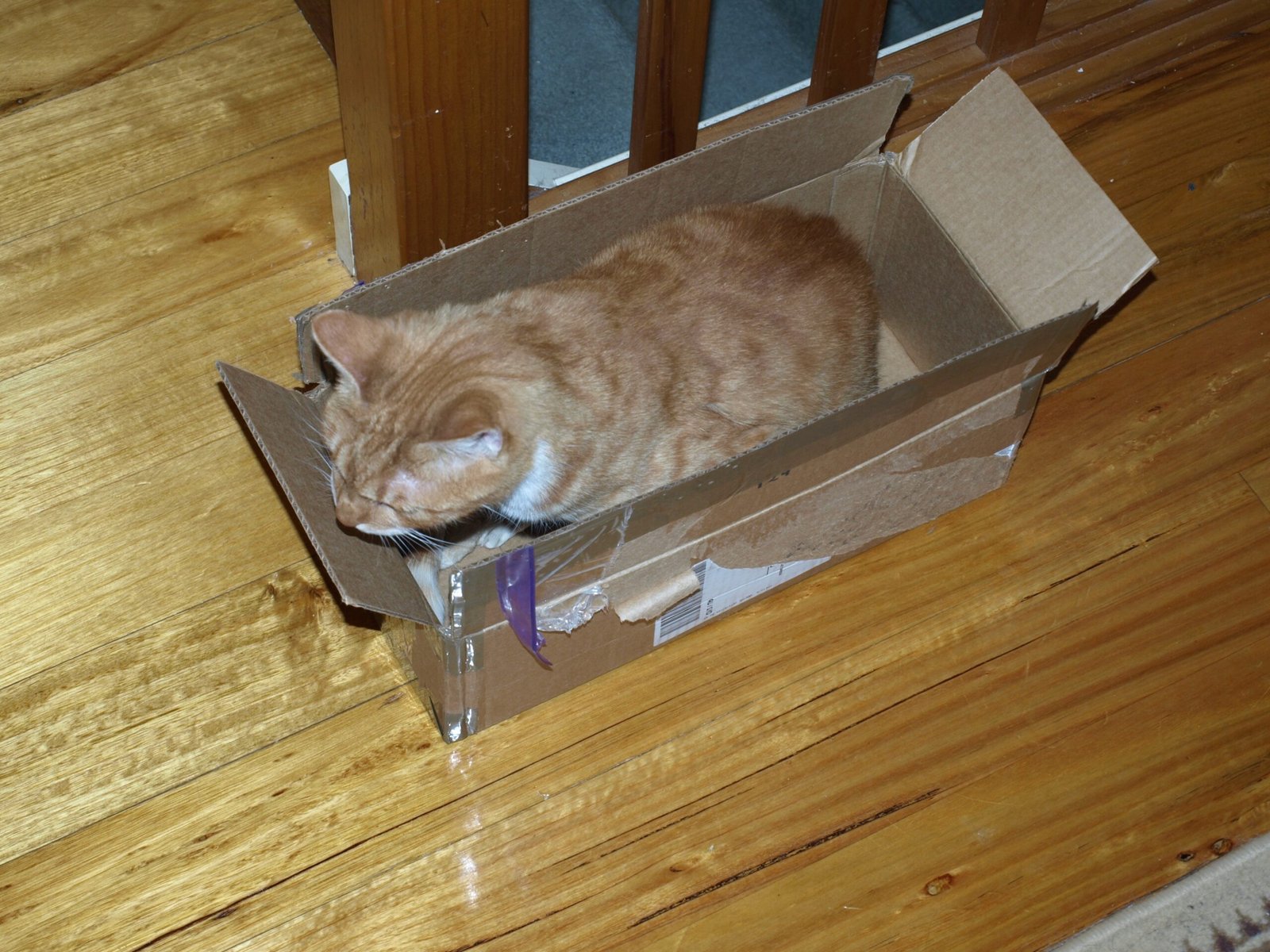 Boxes, Bags, and All Things Cozy (image credits: wikimedia)