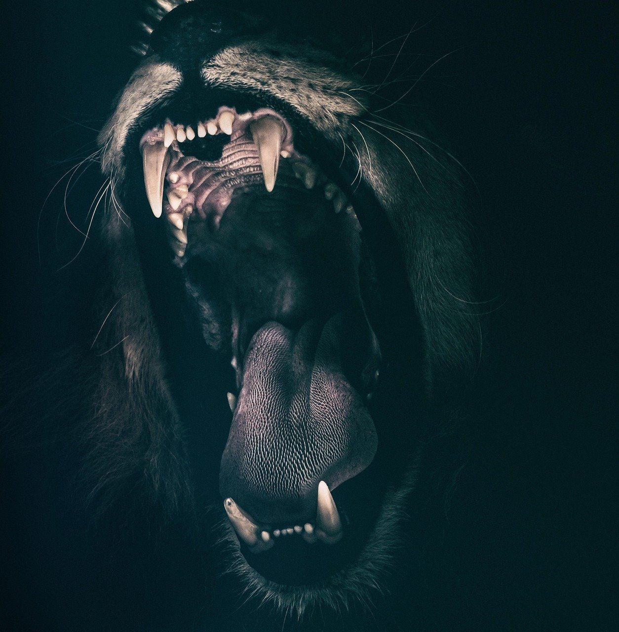 Recognizing Old Enemies (image credits: pixabay)