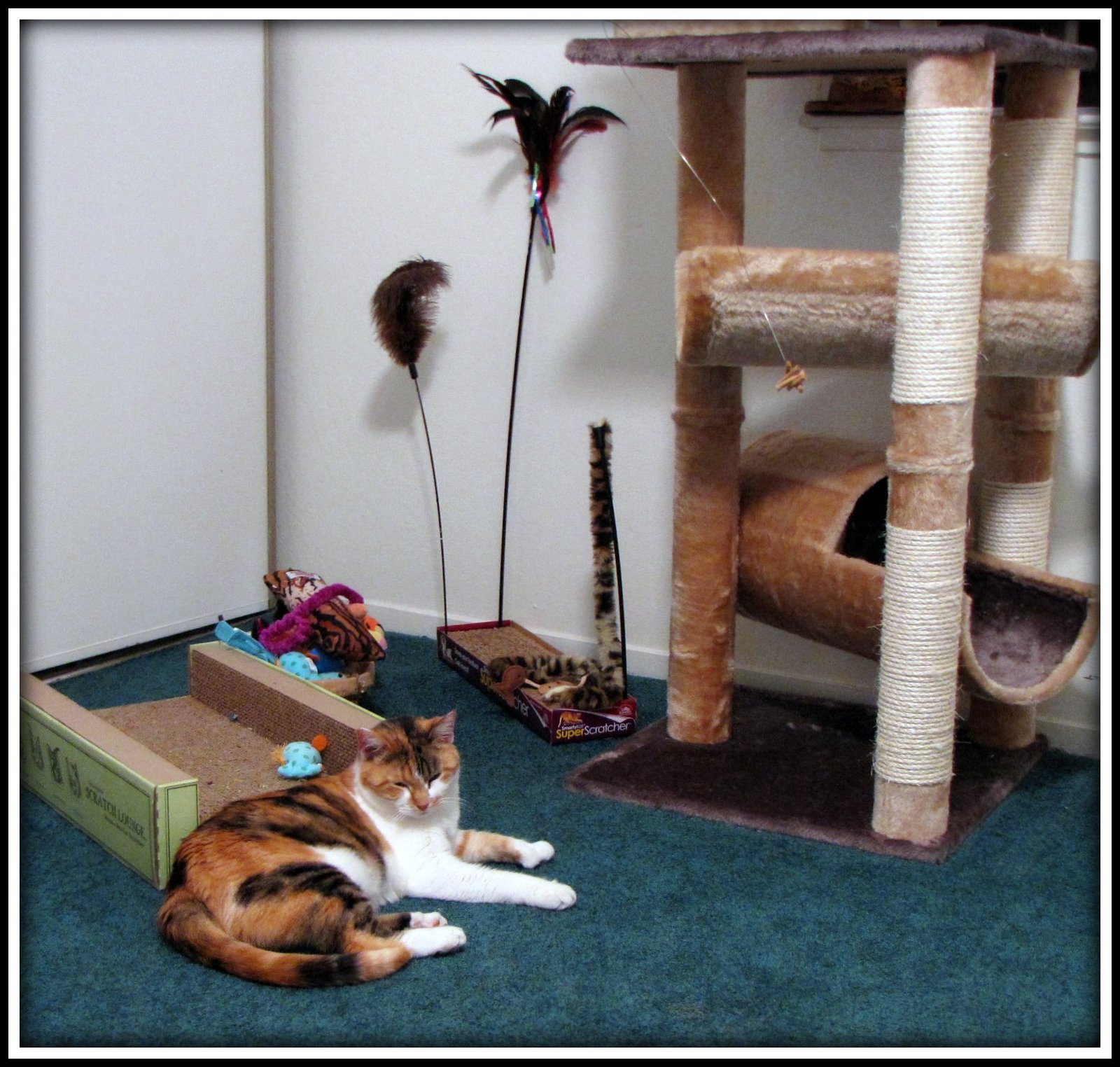 13. Ignoring New Toys Quickly (image credits: wikimedia)