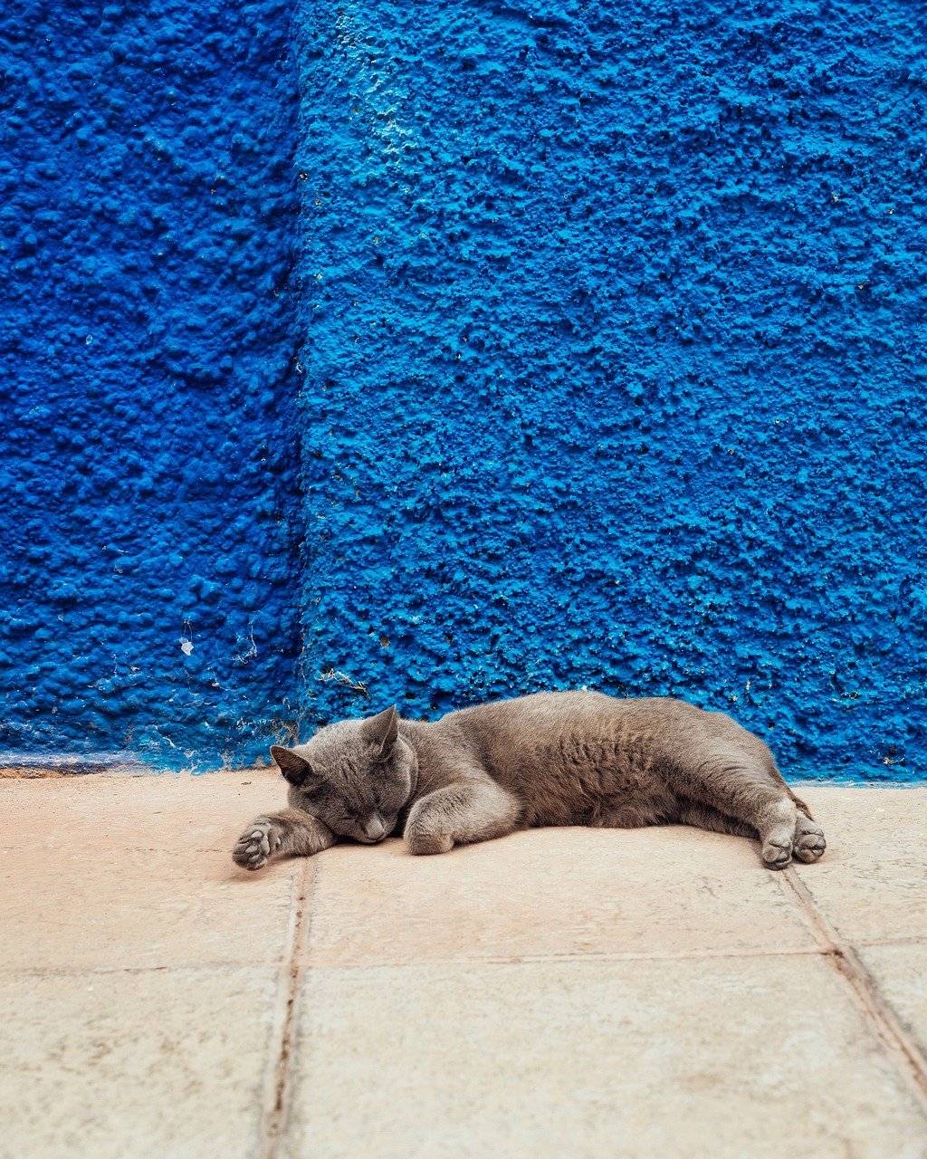 Minimal Equipment Required (image credits: pixabay)