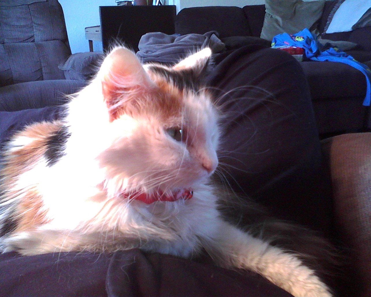 Unexplained Weight Loss or Gain (image credits: wikimedia)