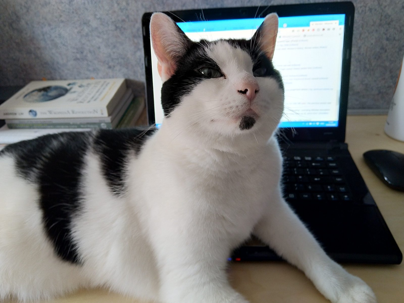 Let Them “Help” with Your Daily Tasks (image credits: wikimedia)