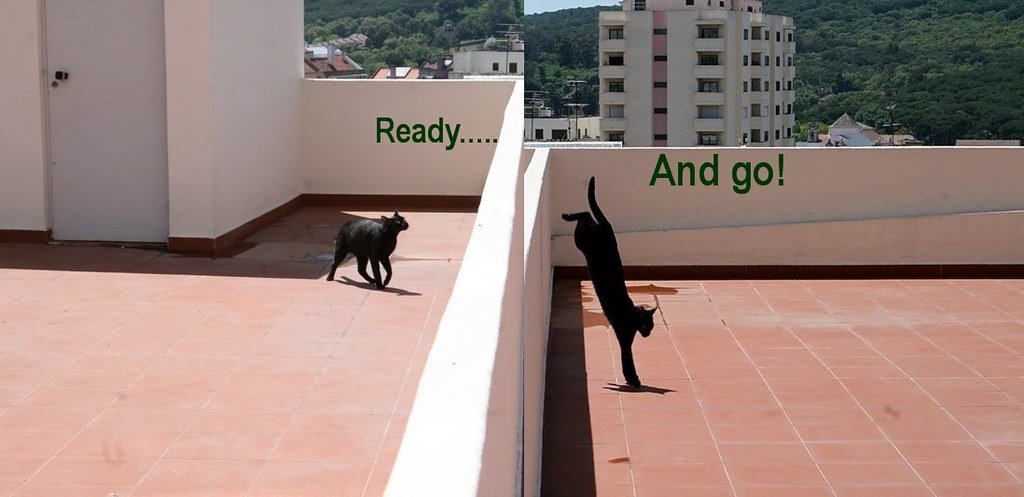 Masters of Silent Movement (image credits: flickr)