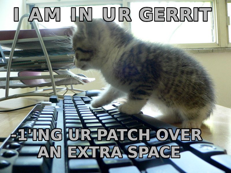 Sleeping on Your Keyboard (image credits: wikimedia)