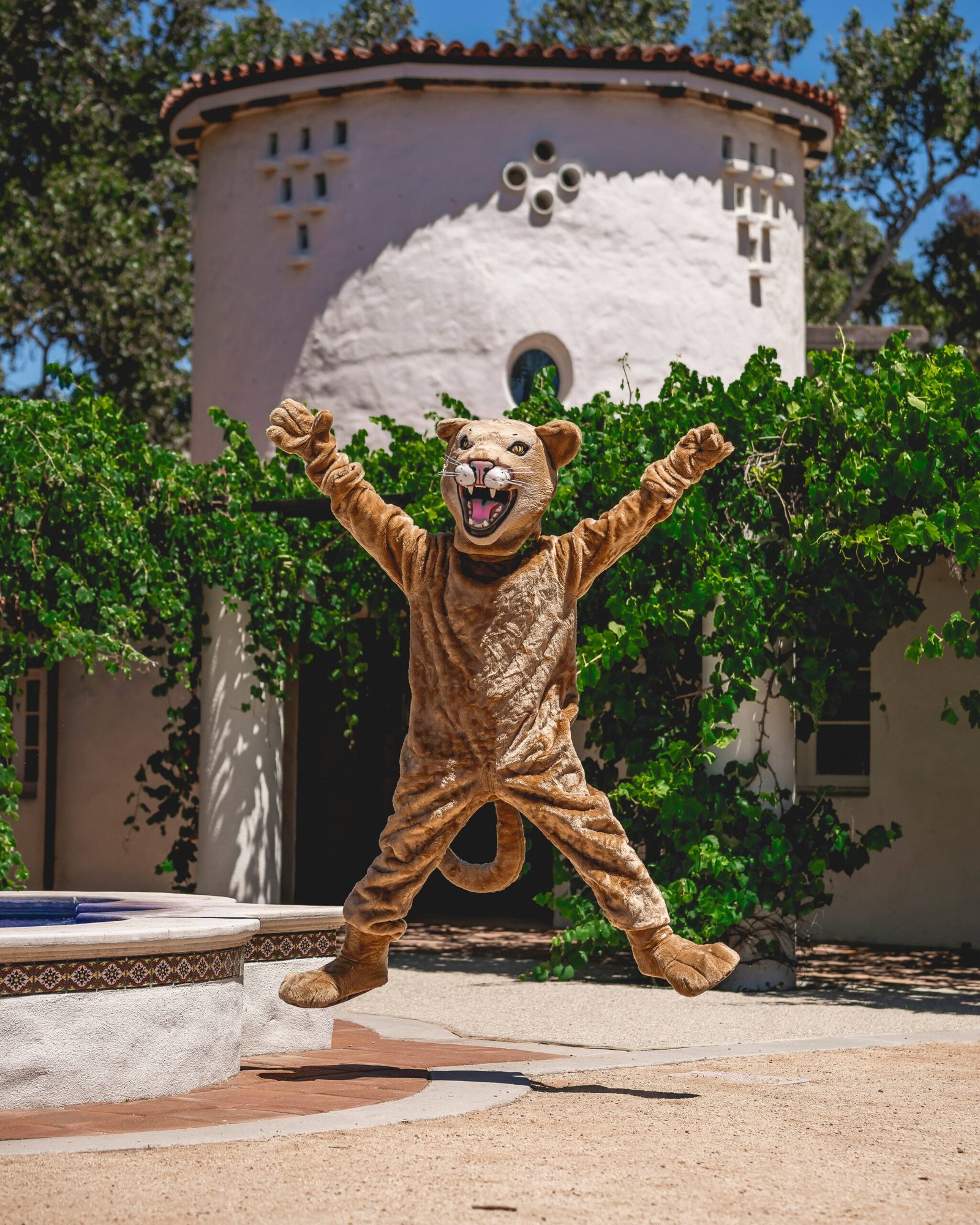 The Puma's Vertical Leap Attack (image credits: wikimedia)