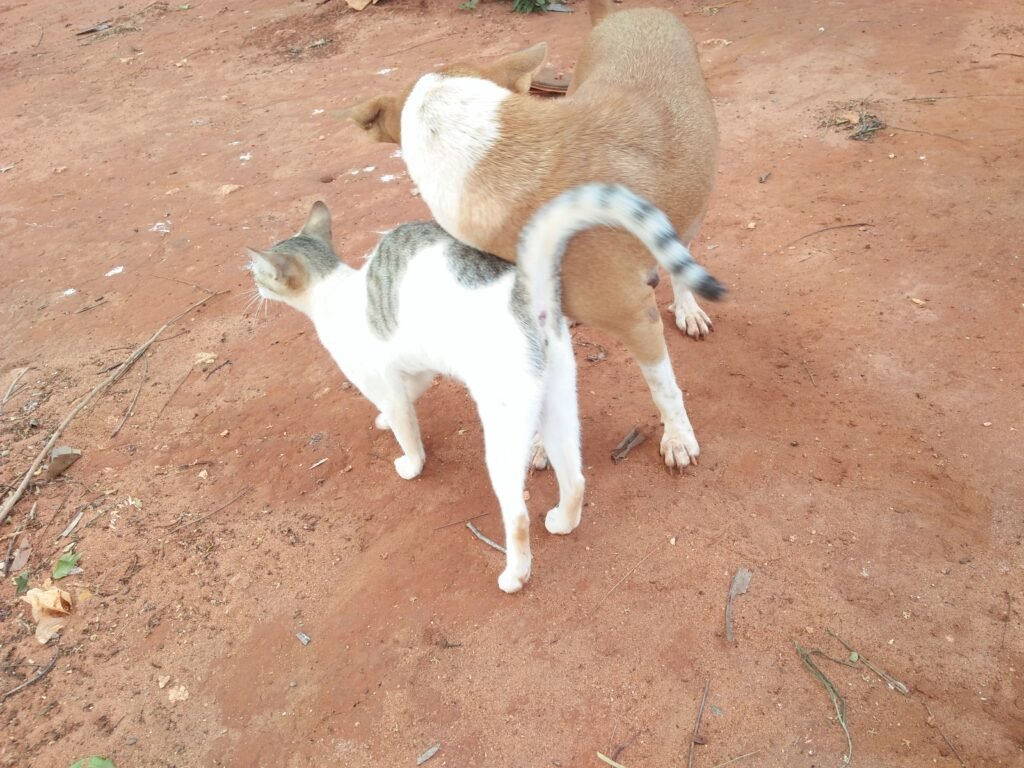 They Respect Each Other's Personal Space and Boundaries