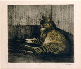 Do Cats Dream? What Science Says About Their Sleep