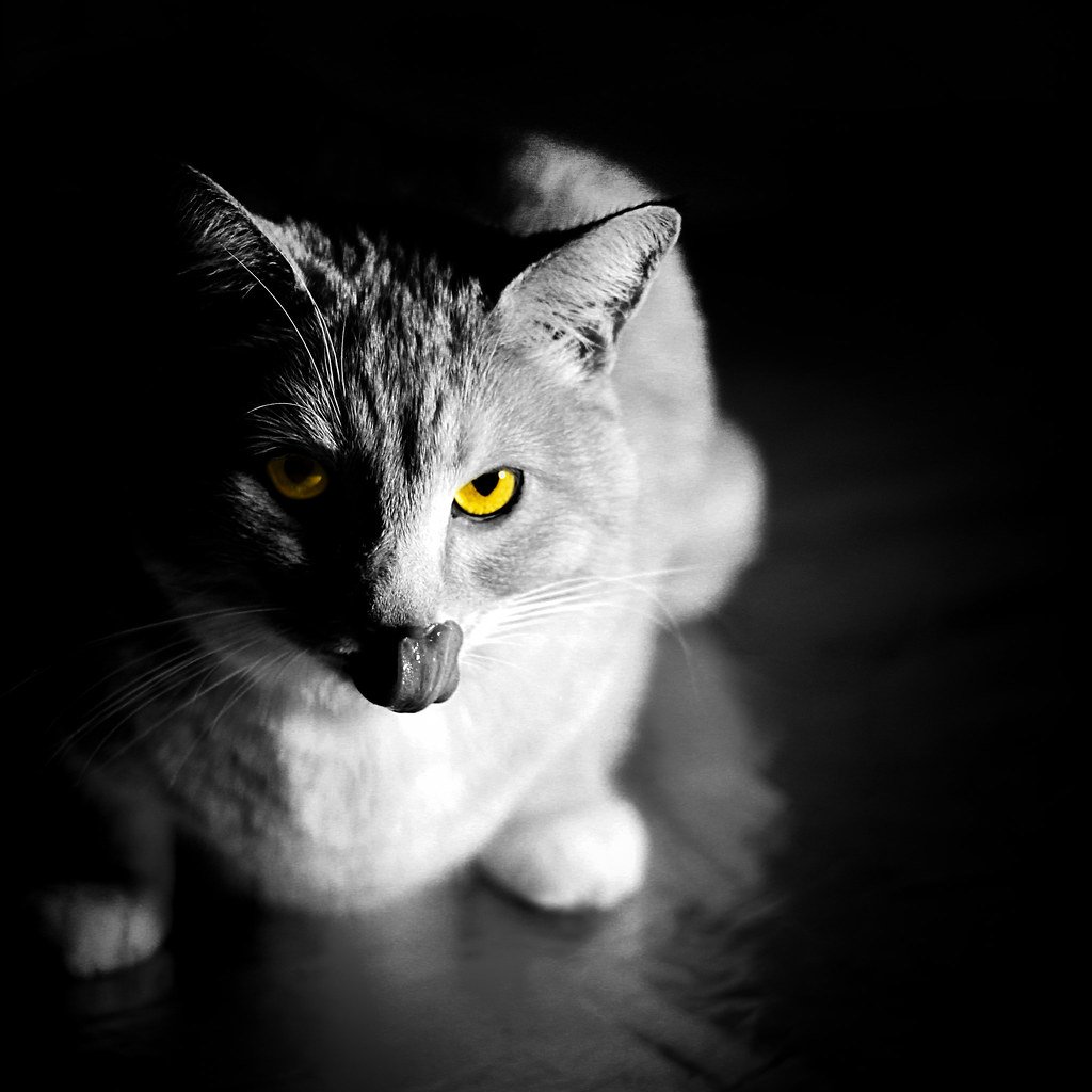 Social Time Differs from Solitary Time (image credits: flickr)