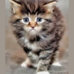 The Weather Changed and Ruined Their Mood