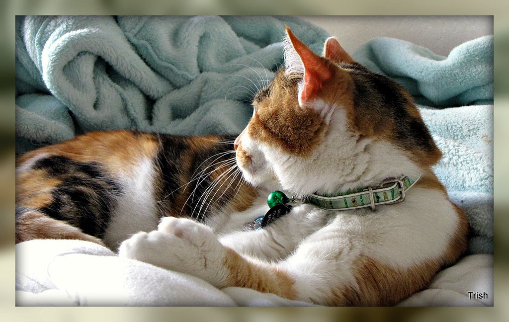 Window Time Together (image credits: flickr)