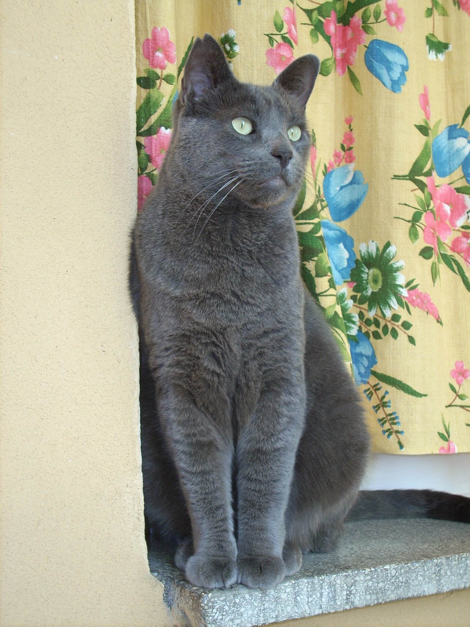 Behind the Camera Personality (image credits: wikimedia)
