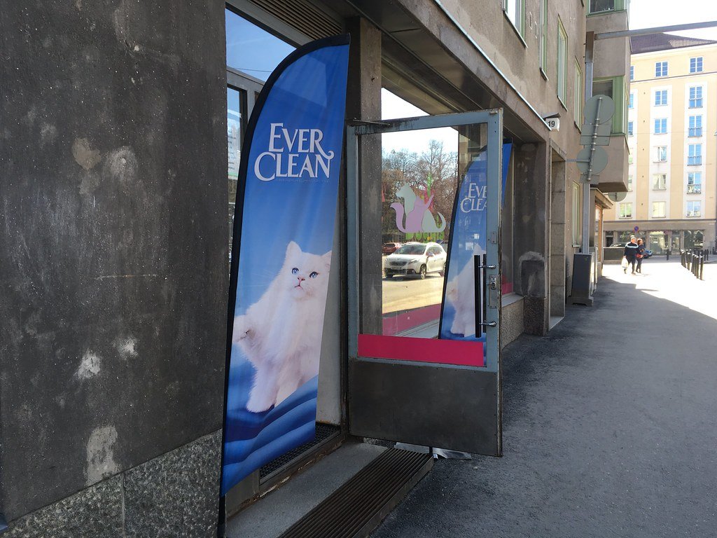Keep Their Litter Box Pristine (image credits: flickr)
