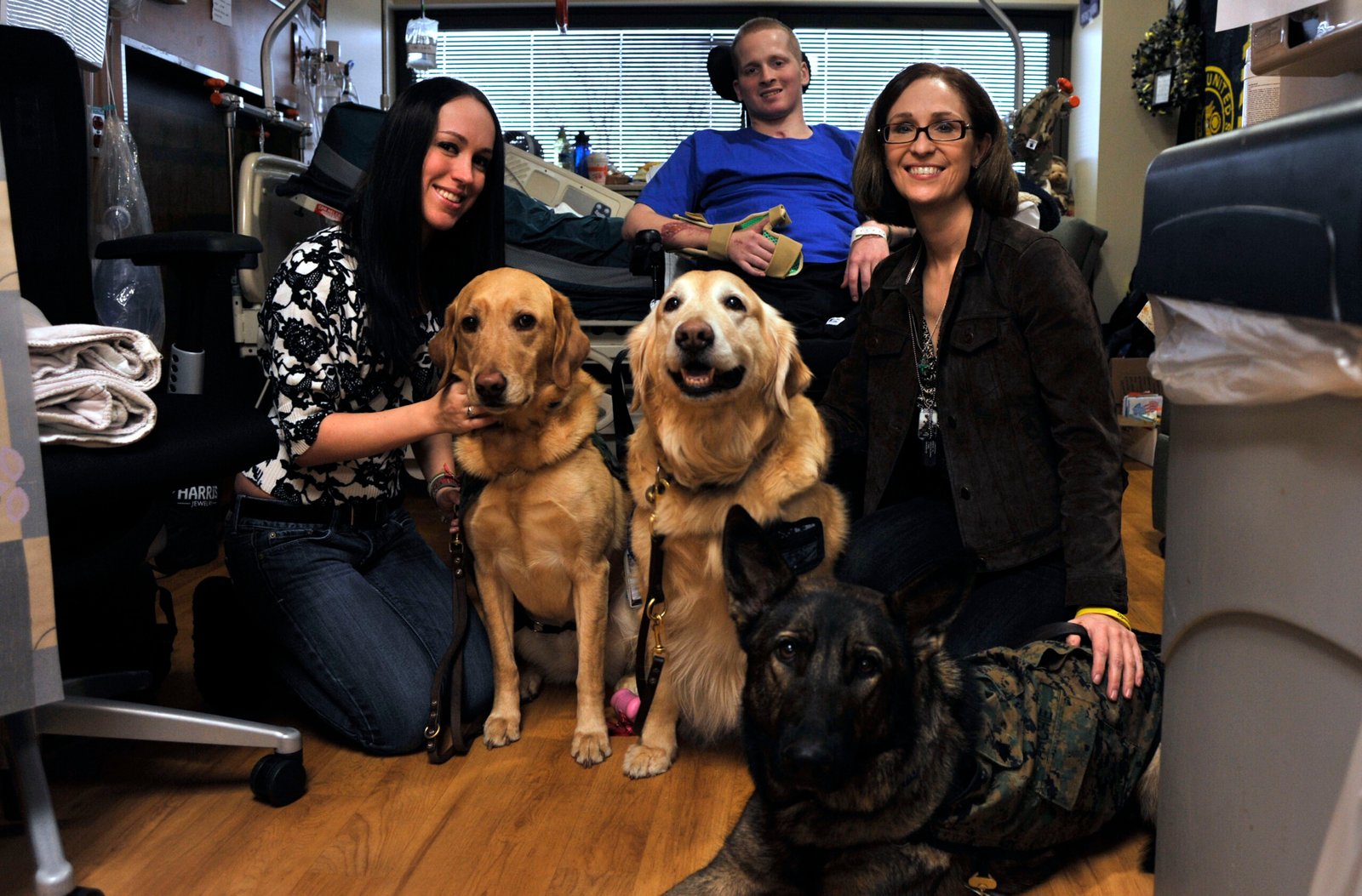 Golden Retrievers: The Four-Legged Emotional Support Champions (image credits: wikimedia)
