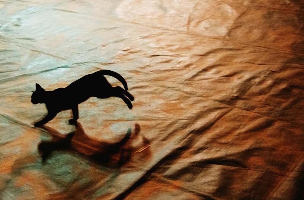 Artistic silhouette of a cat running on a textured surface, captured in dramatic lighting.