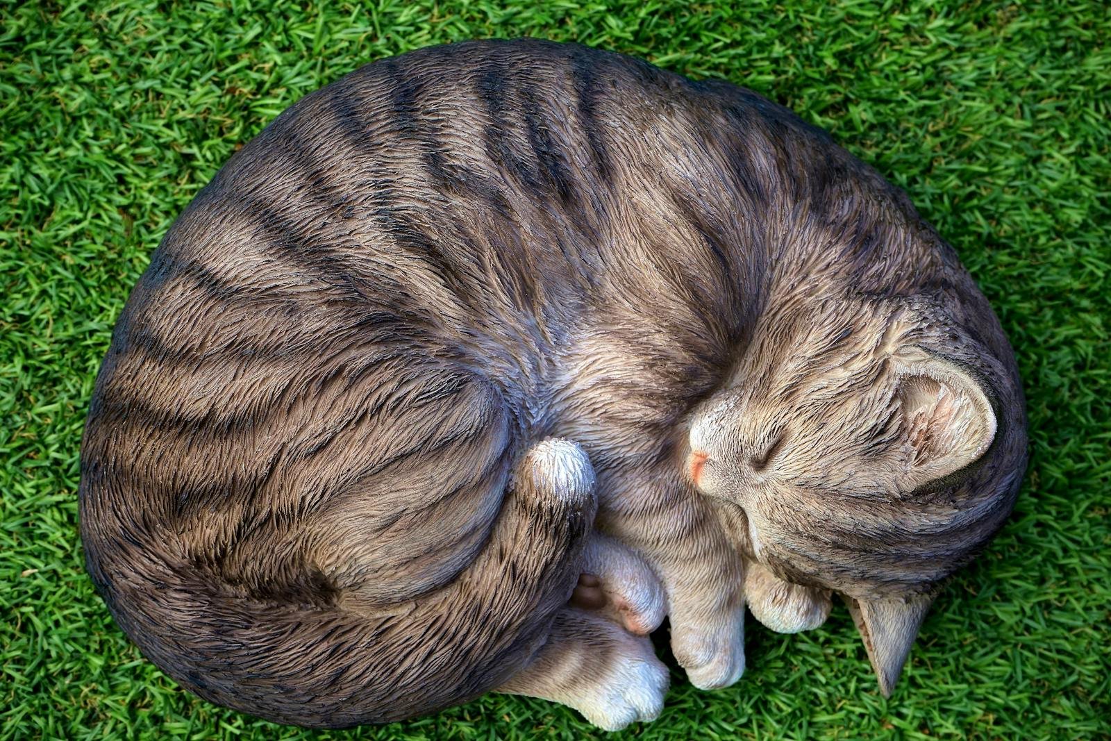 A cute gray tabby cat sleeping peacefully curled up on vibrant green grass.