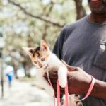 A man lovingly holds a kitten in a harness while walking outdoors.