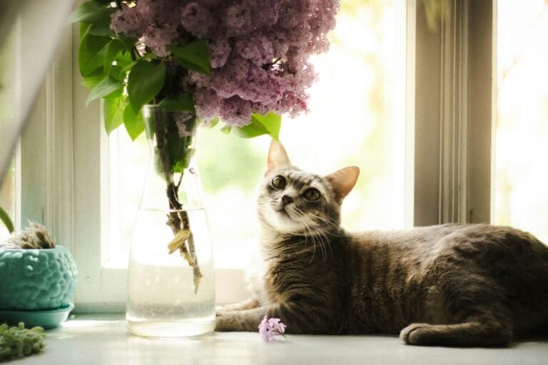A cat laying on the floor next to a vase of flowers