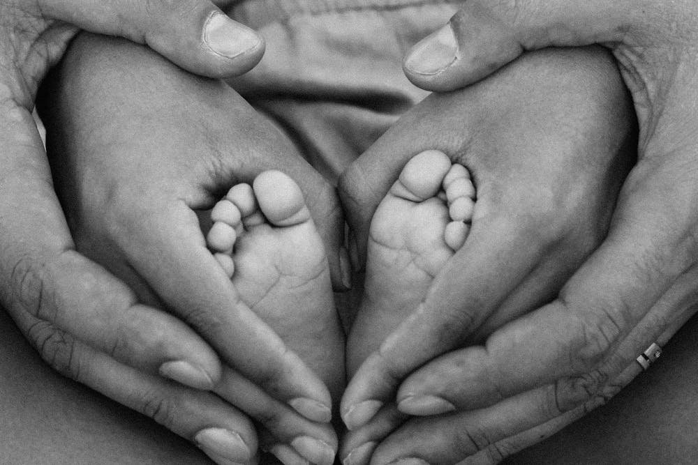 Wild Cat Snatches 15-Day-Old Baby