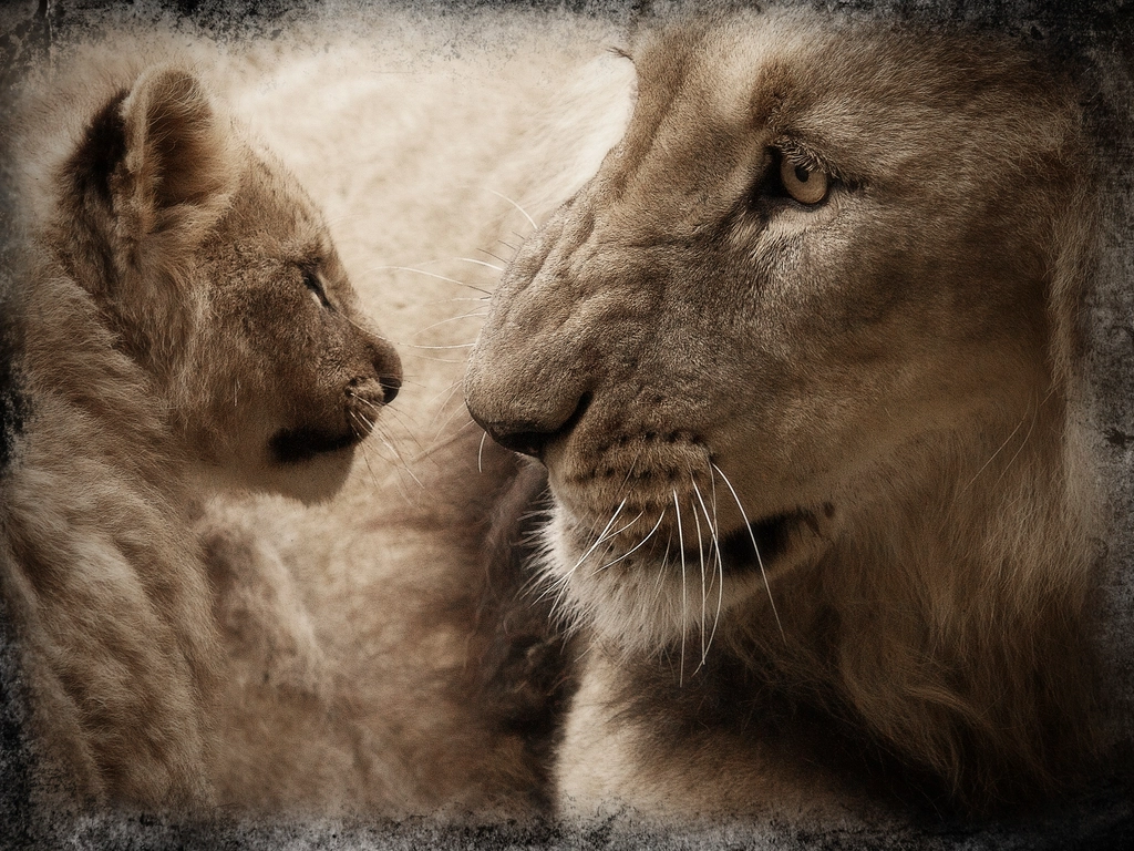 The Weight of Legacy: Raising the Next Generation (image credits: rawpixel)