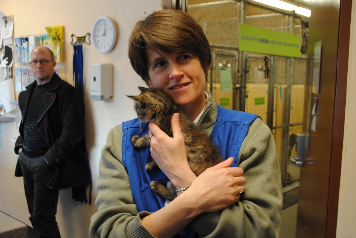 Support Animal Shelters and Rescue Efforts (image credits: wikimedia)