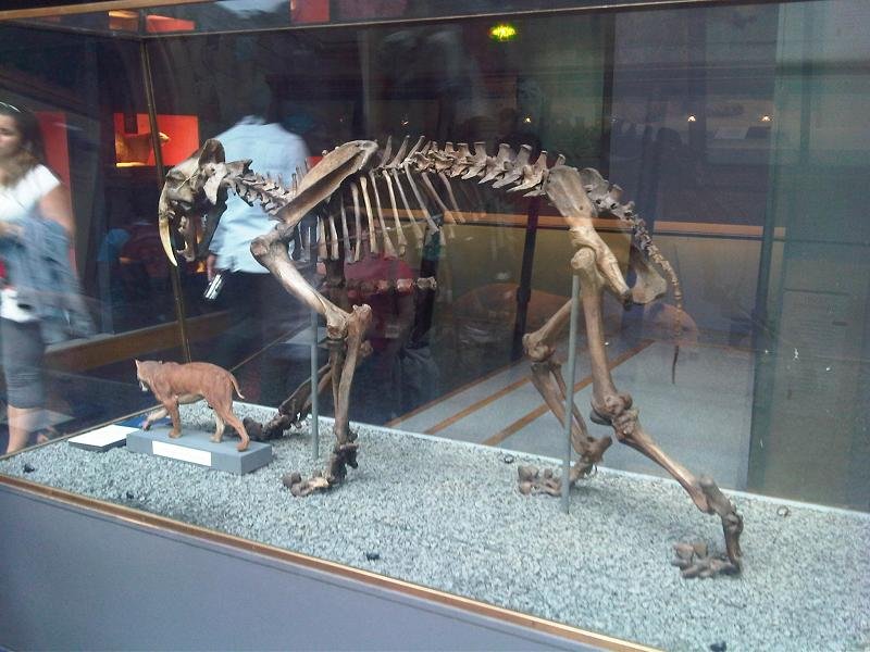 Family Bonds: Clues from the Bones (image credits: wikimedia)