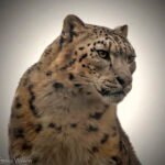 10 Weird Hunting Tactics Big Cats Use (That Actually Work!)