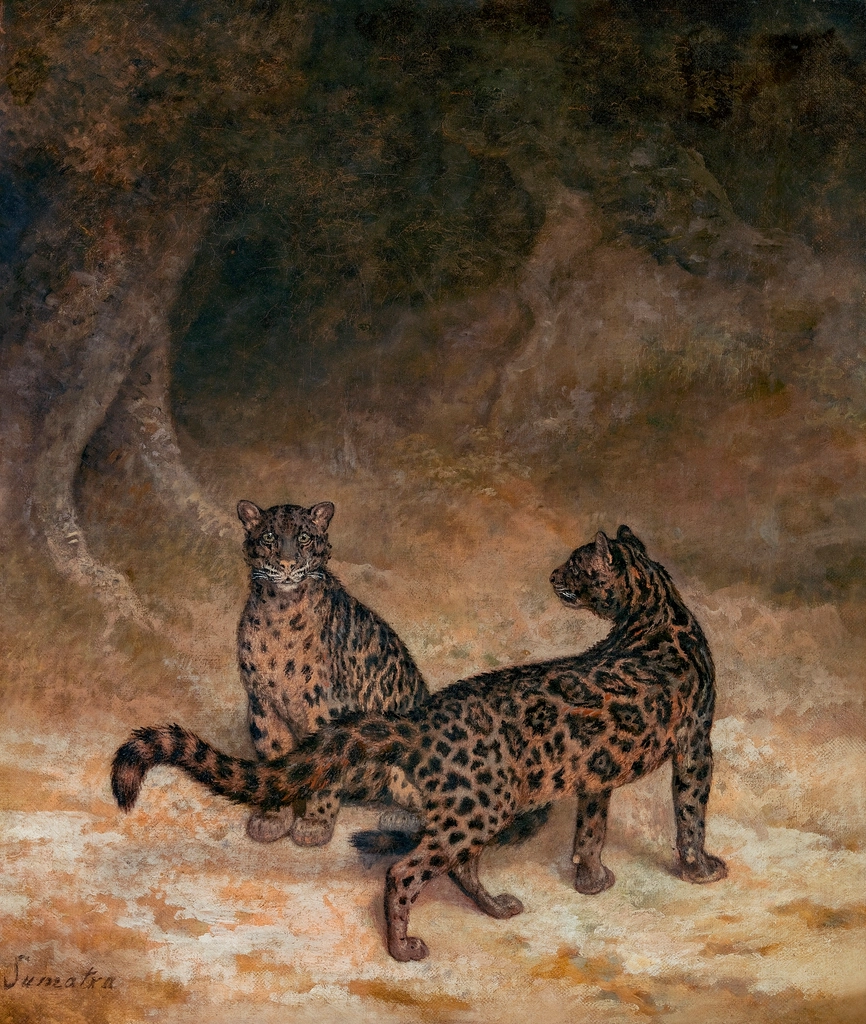 Diamantofelis: The Sparkling Predator (image credits: rawpixel)