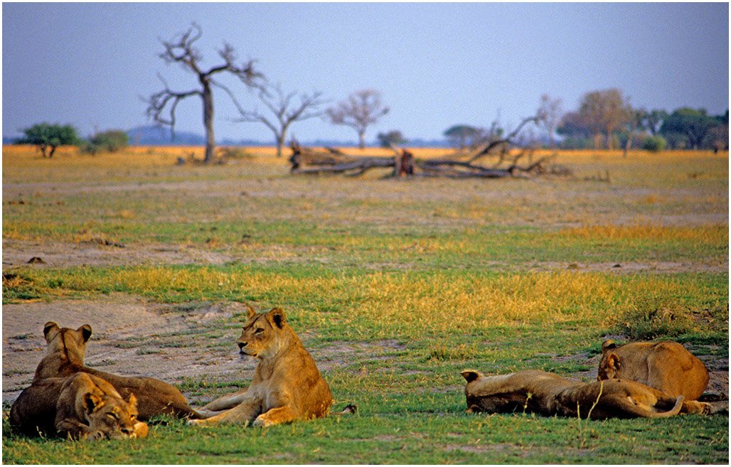 Power in Numbers (image credits: wikimedia)