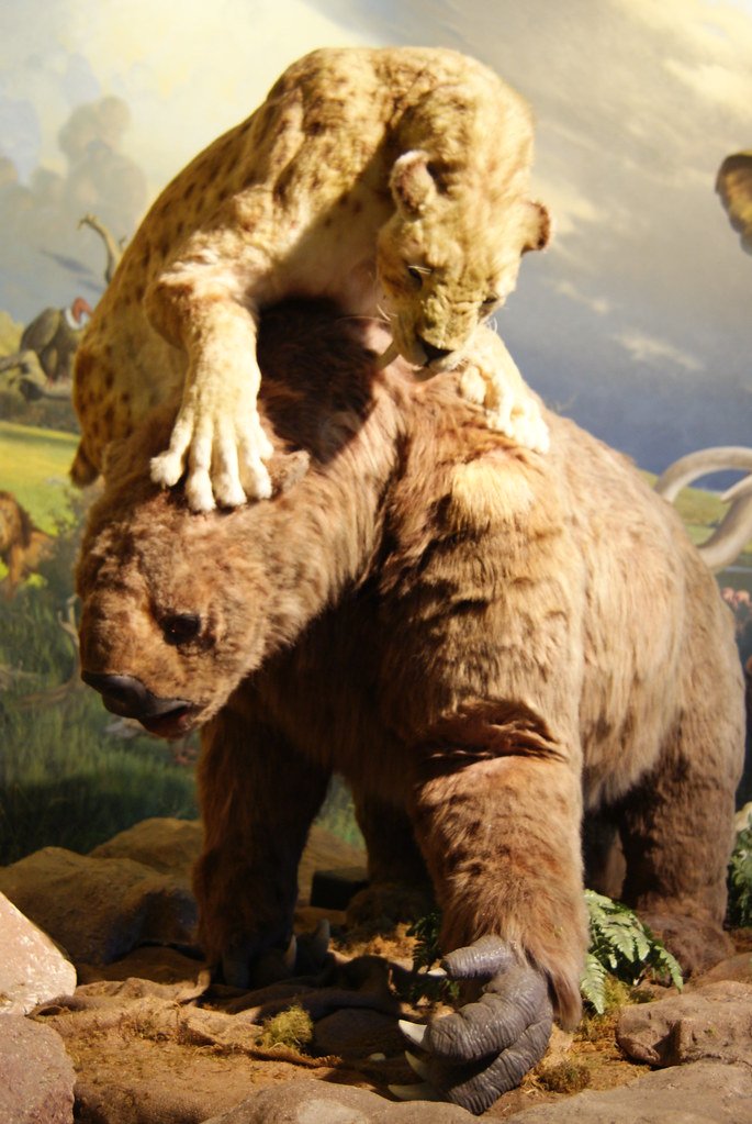 The Deadly Bite That Wasn't What You'd Expect (image credits: flickr)