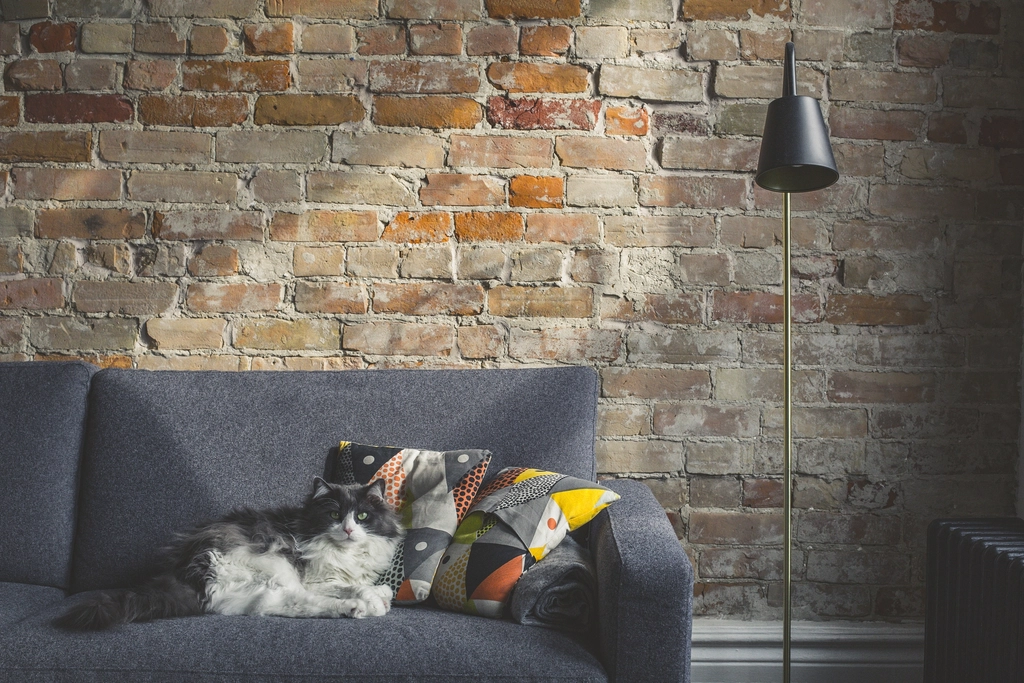 Conclusion: Beauty Doesn't Have to Be Complicated (image credits: rawpixel)