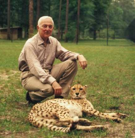2. Cheetah’s Selfie Obsession (image credits: wikimedia)