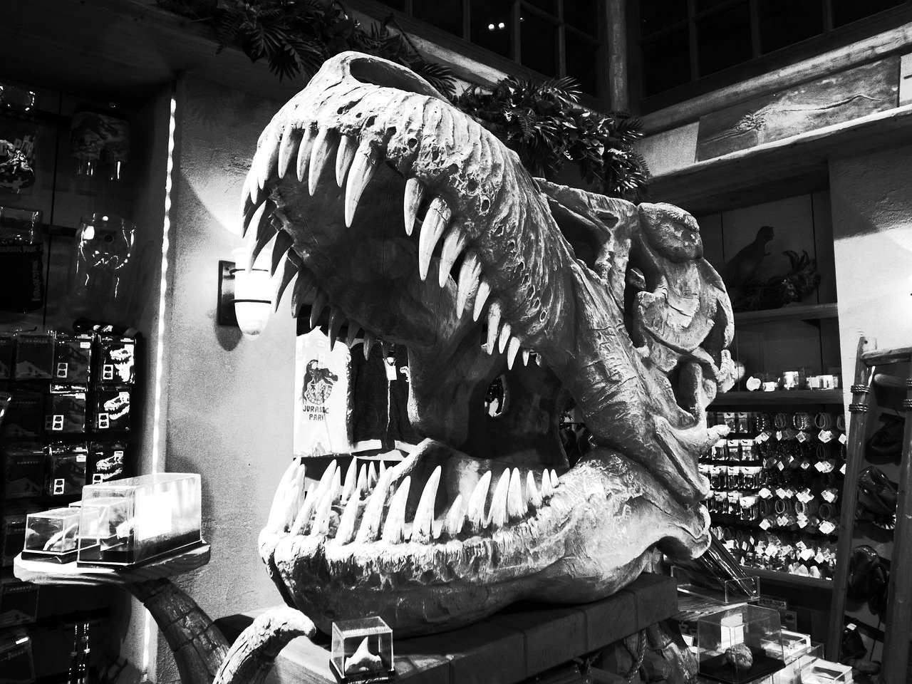 Dental Mysteries That Baffle Scientists (image credits: pixabay)
