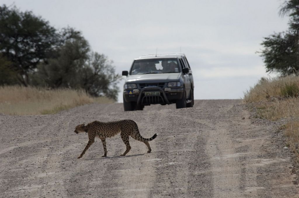Eco-Tourism: Promise or Peril? (image credits: wikimedia)