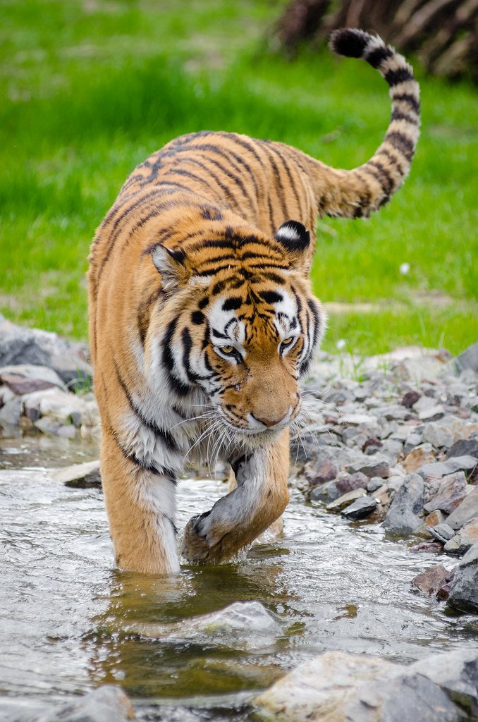 Climate Change and Survival (image credits: flickr)