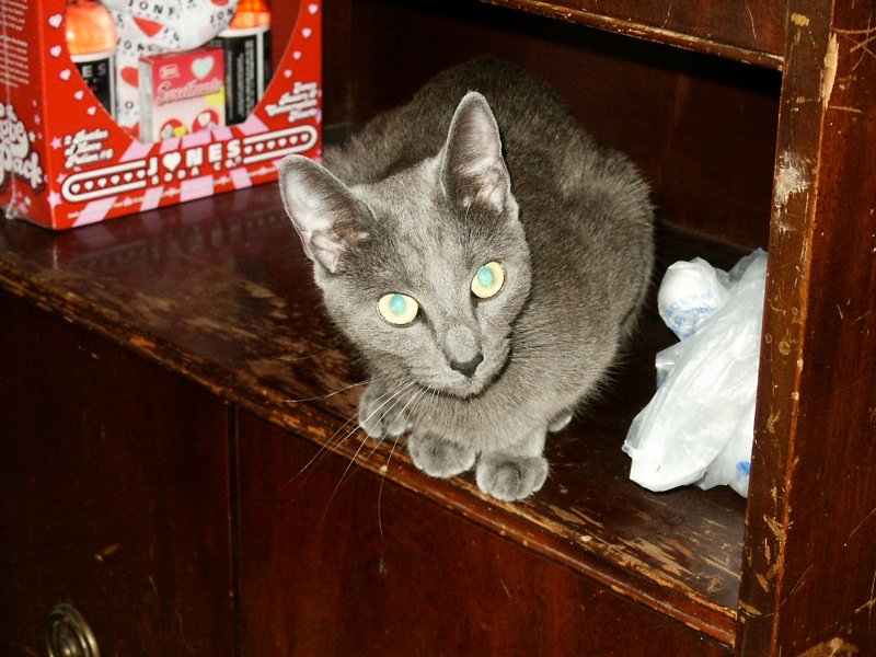 Cozy Hideaway Time (image credits: flickr)