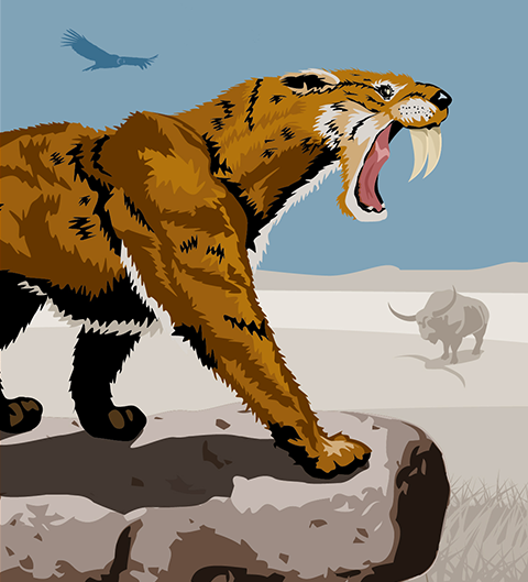 The Ice Age Effect (image credits: wikimedia)