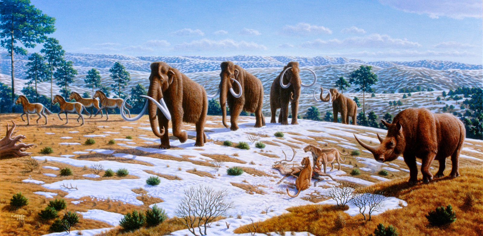 The Ice Age Zoo: Strange Neighbors (image credits: wikimedia)